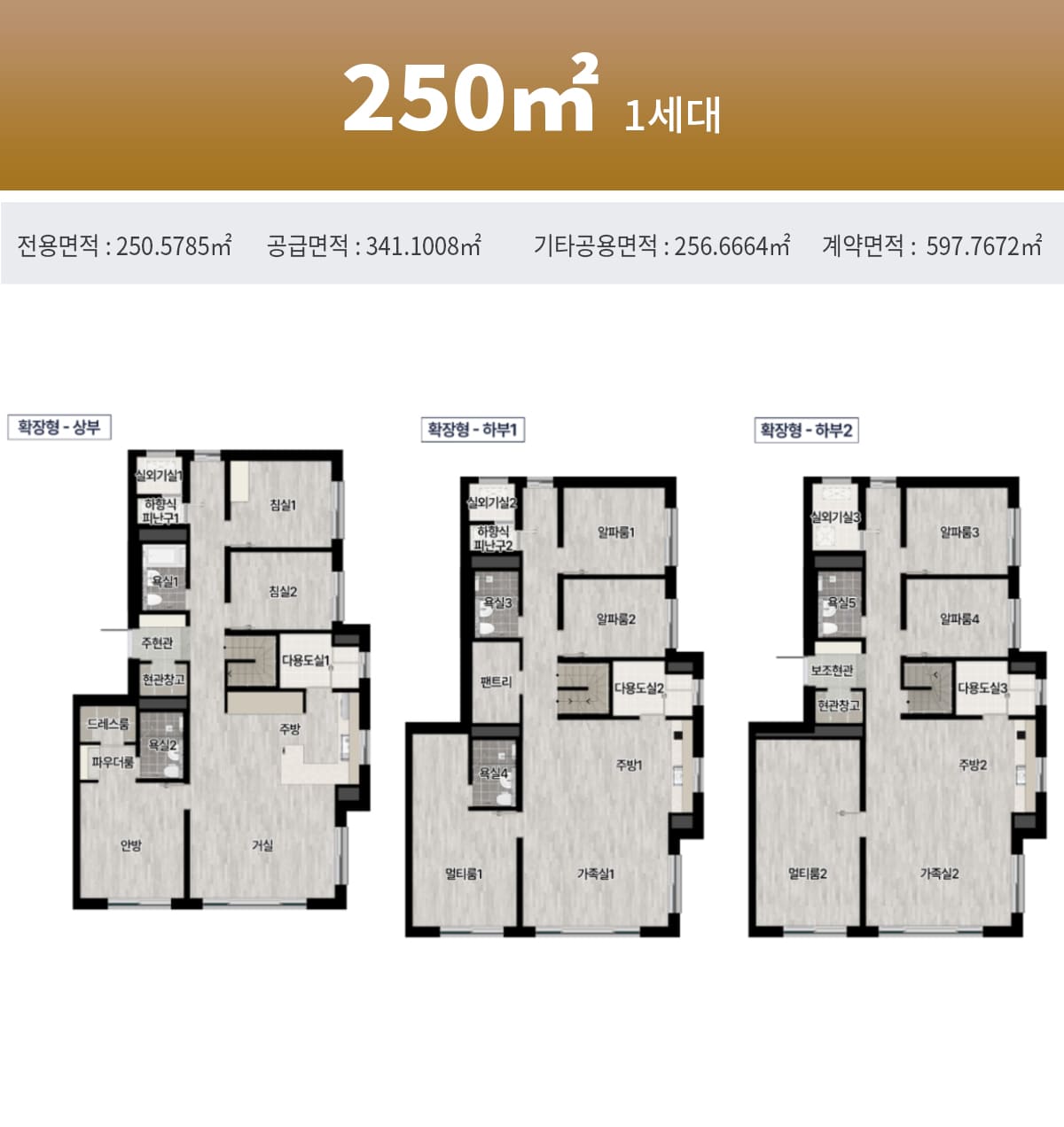 경기광주역 롯데캐슬 시그니처 평면도 250